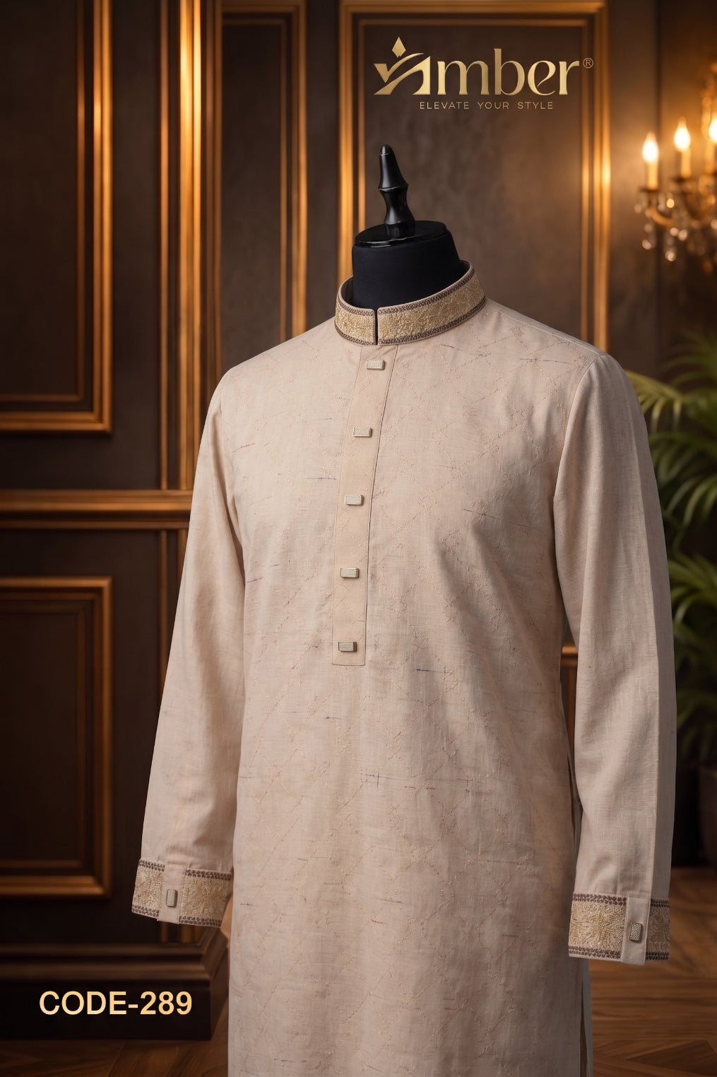 Luxury Panjabi - 289
