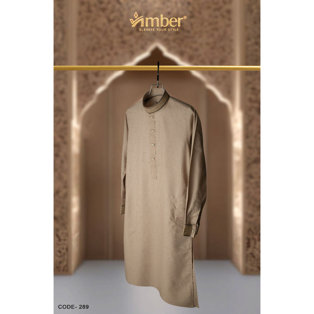 Luxury Panjabi - 289