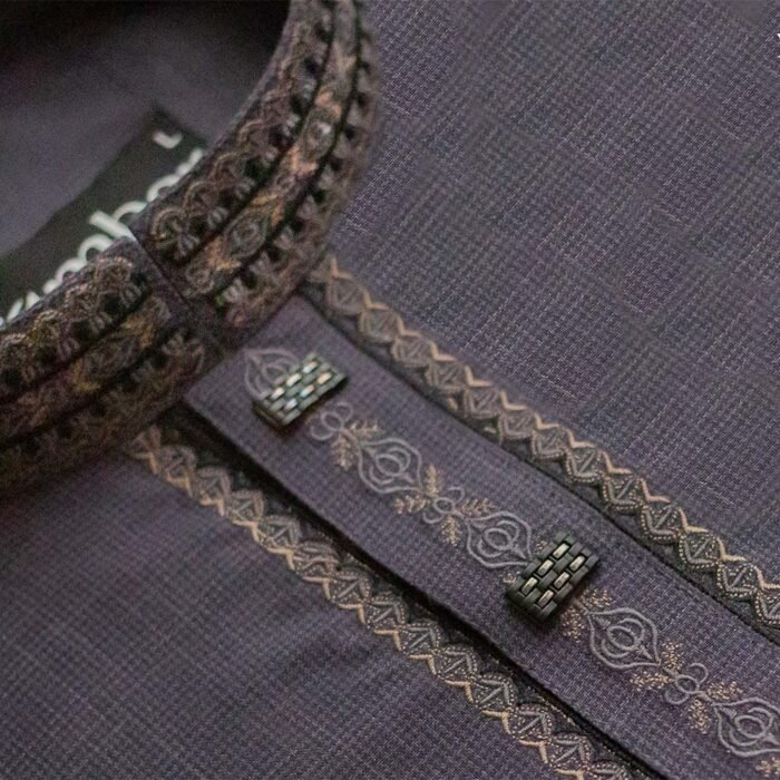 Amber Premium Panjabi – Code 256 - Image 2