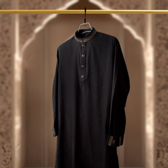 Amber Premium Panjabi – Code 260 - Image 3